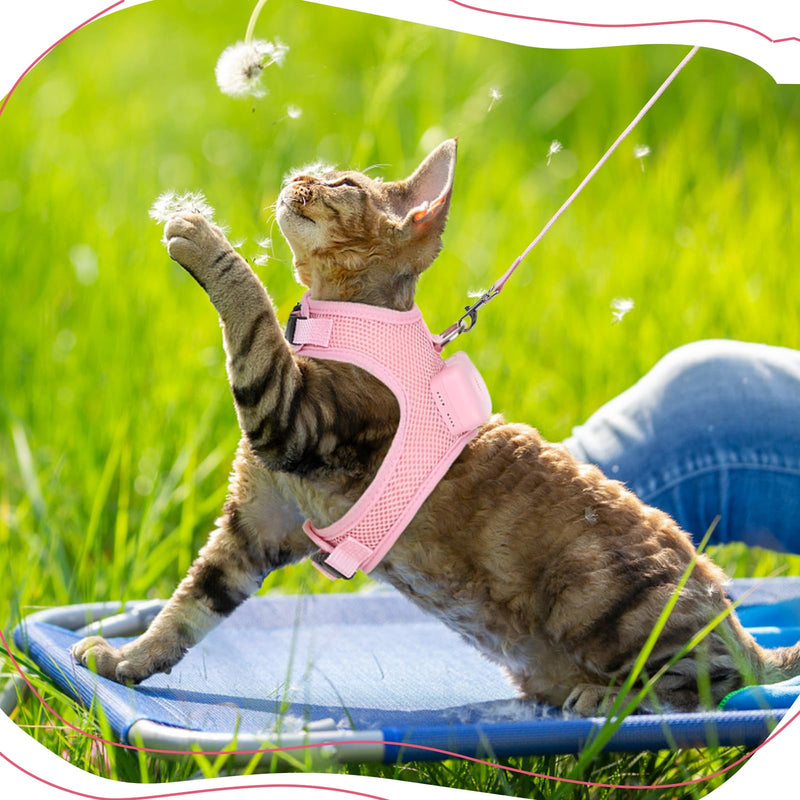 Cooling Dog Harness and Leash Set Wearable Air Conditioner Dog Vest Harness Light Up Easy Walk Dog Harness Mesh Front Clip Puppy Harnesses for Small Dogs,Pink Medium Pink - BeesActive Australia