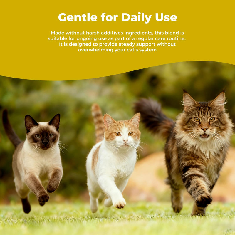 Cat Mange Treatment & Itchy Skin Relief, Natural Supplement for Dry Skin, Dandruff & Coat Care, Gentle Daily Support for Cats