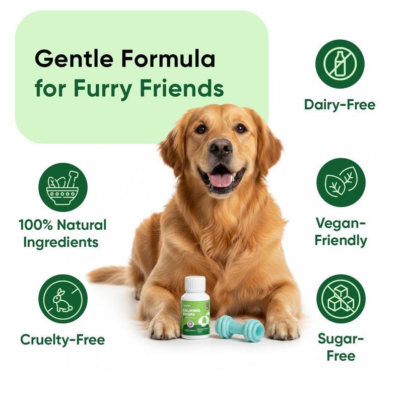 Calming Drops for Dogs 100ml - For Loud Noises, Home Alone Time, Hyperactivity & Travel - Puppy Calm Products with Amino Acid, Vitamins & Minerals - Alternative to Dog Calming Treats, Sprays & Collars