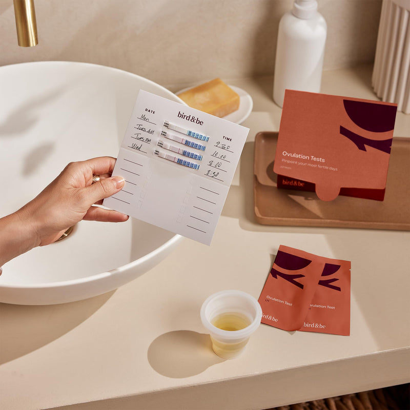 bird&be Ovulation Test Strips (LH) | 10 High-Accuracy Predictor Kits | Track Fertile Window & LH Surge | Eco-Friendly Low-Waste Design | Easy Dip & Read Results | TTC Fertility Monitor White 10 Lh Strips - BeesActive Australia
