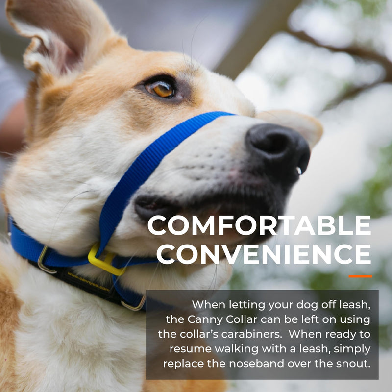 Canny Collar No-Pull Dog Collar - The Kind, Gentle Head Collar for Dogs| Dog Training Tool for Easier Dog Walking | Red - Size 6 Size 6 - 48-53cm (19"-21") - BeesActive Australia