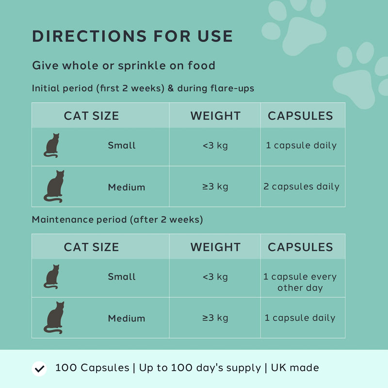 Bladder Care Urinary Support for Cats, with N-Acetyl D-Glucosamine, Hyaluronic Acid, L-Tryptophan and L-Theanine, for Bladder Comfort