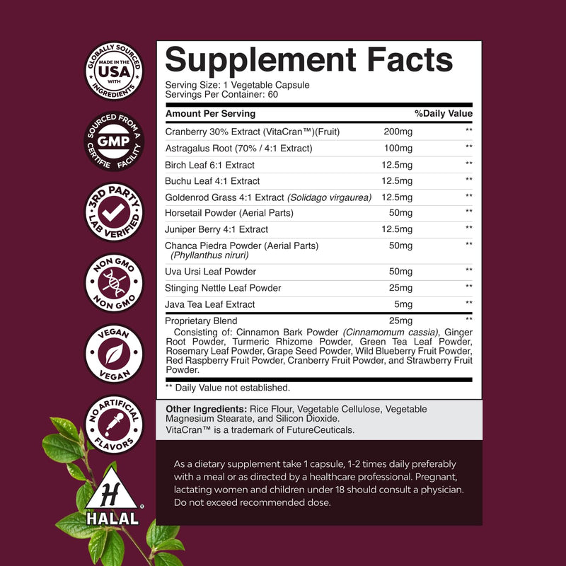 Advanced Kidney Support Supplement - Kidney Cleanse Detox & Repair Cranberry Extract Capsules with Uva Ursi, Stinging Nettle & Astragalus for Kidney Health - Urinary Tract Health - 60 Count 60 Count (Pack of 1) - BeesActive Australia