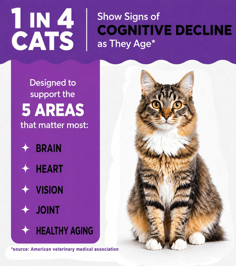 Healthy Aging Cat Supplement Treats - Cognitive Support with Lion's Mane, Omega-3 & Taurine, Supports Brain, Heart, Vision & Joint Health, Suitable for Senior Cats, Lamb Flavor, 30-Day Supply