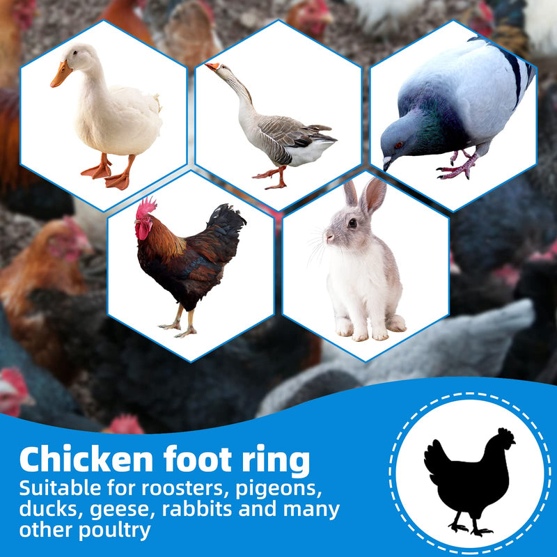 CYWVYNYT Pack of 48 Chicken Leg Rings Multicolored Chicken Identification Leg Bands Numbered Clip on Poultry Leg Rings for Gamefowl Turkey Duck Goose Guinea (20 mm) 20 mm - BeesActive Australia