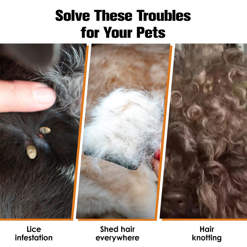 Lice and nit comb for children and adults, effective removal, 4 double-sided combs with fine teeth, also suitable for animals, fleas and ticks, for dogs and cats B - BeesActive Australia