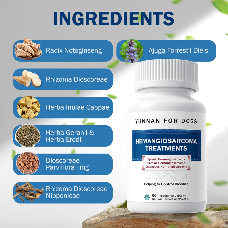 Fast Acting Bleeding Control for Dogs - Yunnan Sanqi Herbal Capsules, Supports Internal Bleeding, Hemangiosarcoma, Nosebleeds, Bloody Stools, Post-Surgical Recovery, 60 Capsules