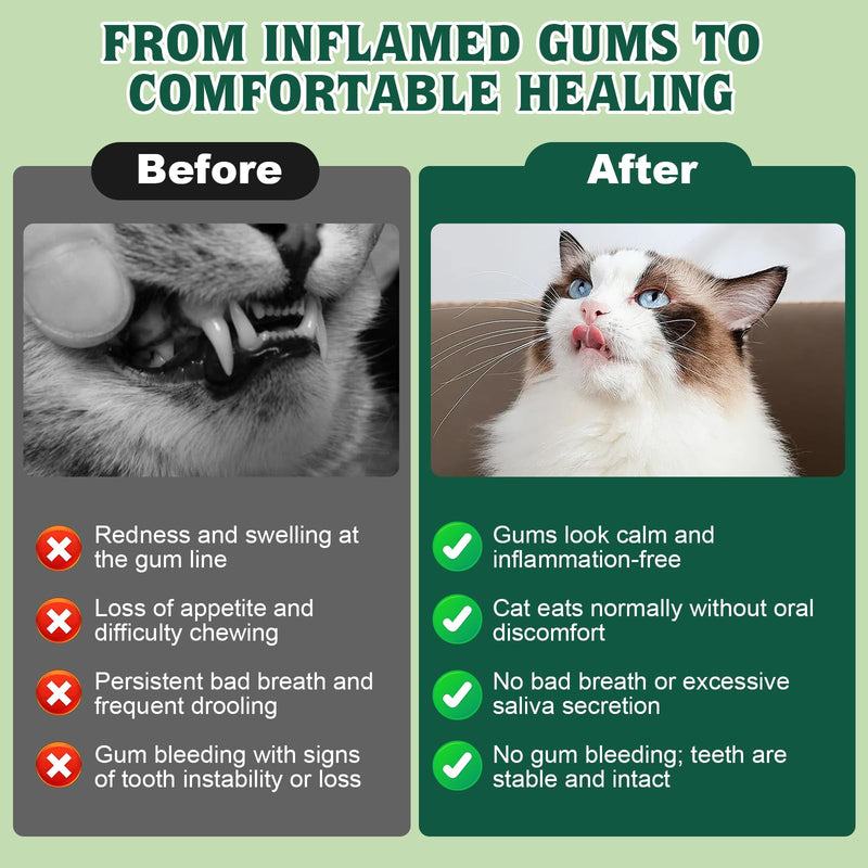 Oral Health for Cats, Cat Gingivitis Treatment, Reduce Gum Inflammation, Redness & Pain, Combats Gum Disease, Natural Plant-Based Active Formula, Cat Oral Care, Gums Health Treatment, 4 oz (113g)