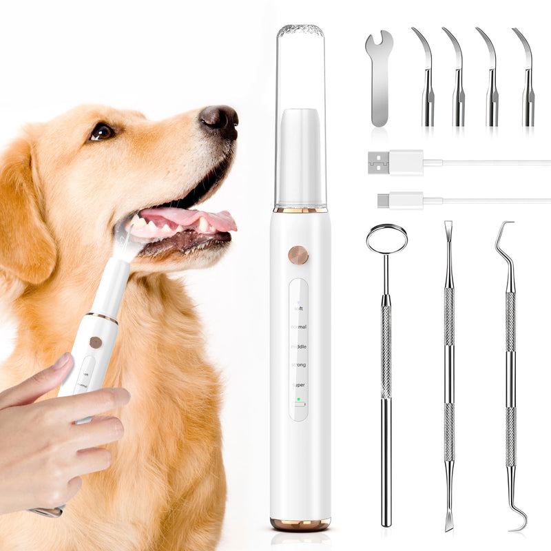 Dog Tartar Remover for Teeth, Electric Plaque Remover for Teeth with LED Light, Dog Teeth Cleaning Kit with 5 Modes and 4 Cleaning Head, Safe for Dog and Cat White - BeesActive Australia