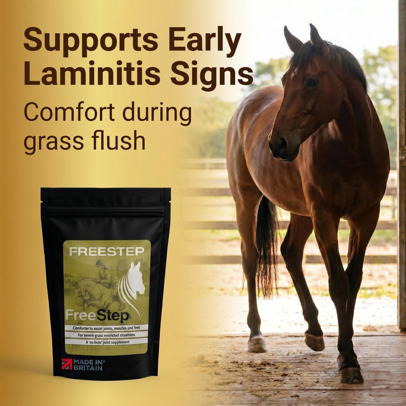Original | Rapid stiffness relief for Laminitis Prone Horses | Intensive Horse Supplement | Magnesium, Boswellia & Bromelain Powder | Equine Mobility & Hoof Comfort | Molasses Free Low Sugar 250g | 1 Months Supply