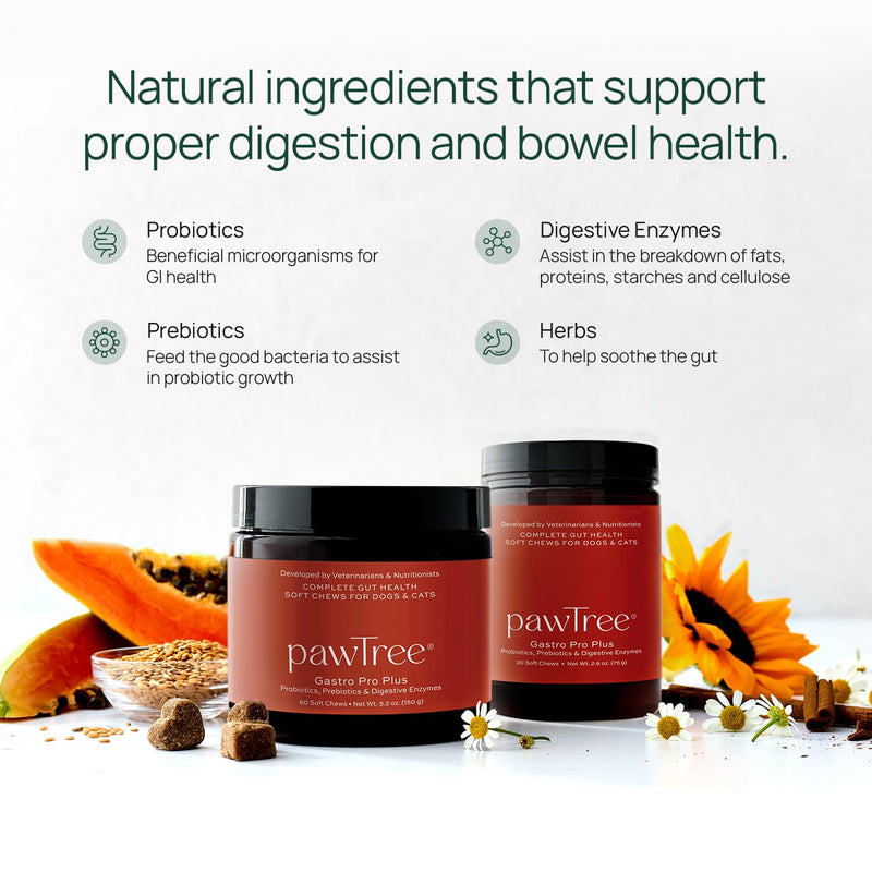pawTree Gastro Pro Plus® for Dogs and Cats - Probiotics, Prebiotics and Digestive Enzymes - for Sensitive Stomach, Digestive Issues, Loose Stool, and Bad Gas (30 ct) 30 ct