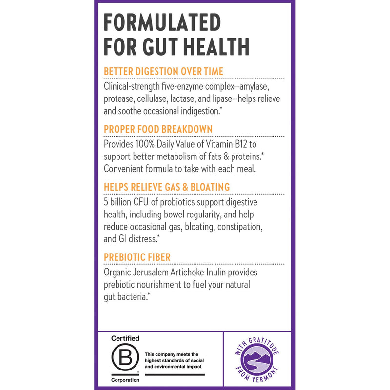 New Chapter All-Flora Enzyme Complex with Probiotics, 90 Count | Clinical-Strength Digestive Enzymes and Ultra-Concentrated Probiotics Relieve Bloating, Plus Fermented Vitamin B12
