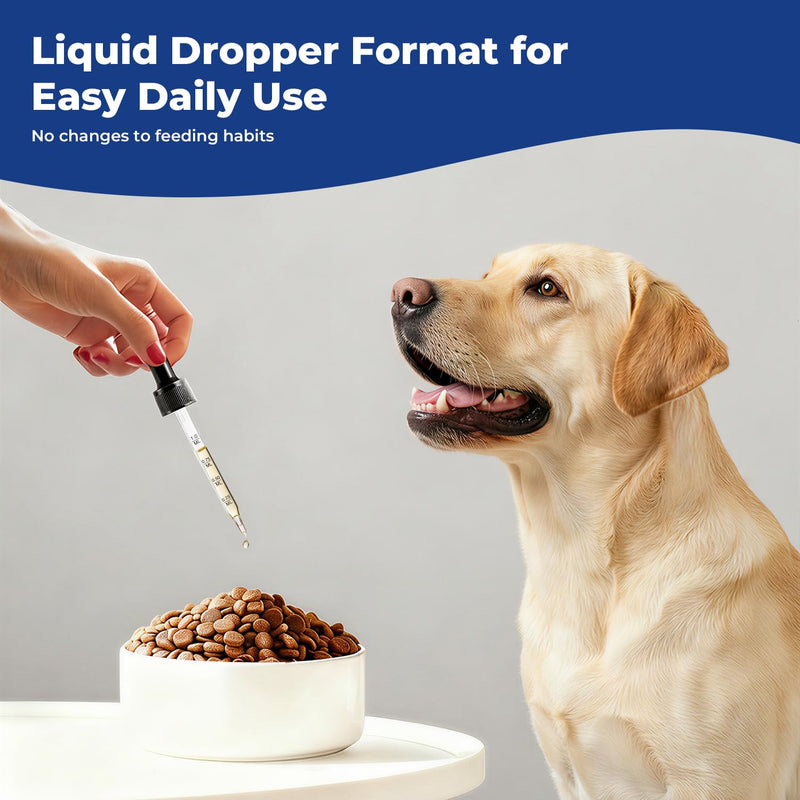 Taurine Supplement for Dogs Liquid Drops, Amino Acid Support for Heart & Muscle Function, Daily Canine Nutrition Supplement, 60 mL × 2 Bottles