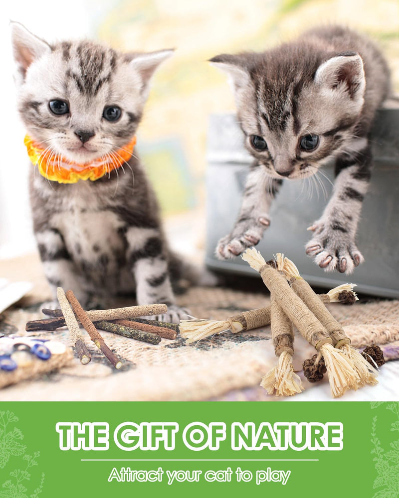 TINDTOP Silvervine Sticks, 10 Pack Natural Catnip Chew Toys for Kittens Teeth Cleaning, Increase Appetite, Calm Anxiety and Stress, Aggressive Chewers Toy - BeesActive Australia