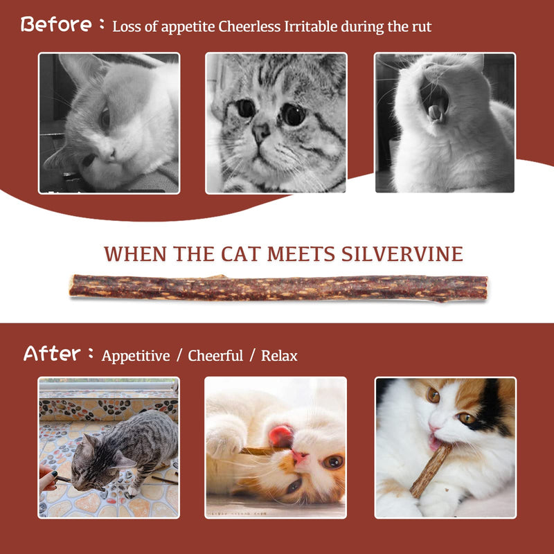 Silvervine for Cats, Cat Chew Stick, Catnip Toys Matatabi Wooden Sticks (25pcs) 25pcs - BeesActive Australia
