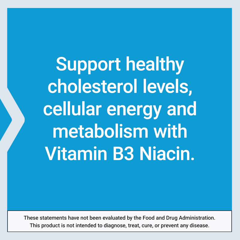 Life Extension Vitamin B3 Niacin, Heart Health, Cholesterol & Energy Support, Gluten-Free, Non-GMO, 100 Capsules | Supports Heart Health, Cholesterol Health Support & Energy Production, Gluten-Free & Non-GMO, 100-Capsule Supply 100 Count (Pack of 1)