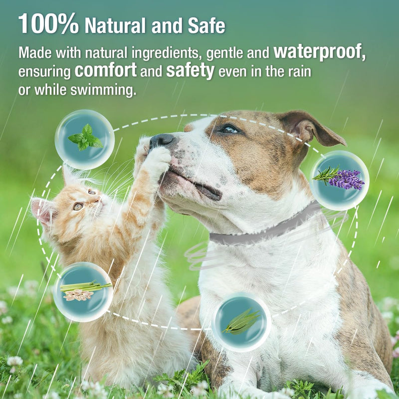 Flea & Tick Collar 2-Pack Gray, Protects from Biting Insects, Adjustable Fits Both Dogs & Cats, Built-in Plant Based Formula, Slow Release Lasting Protection, Waterproof Grey - BeesActive Australia