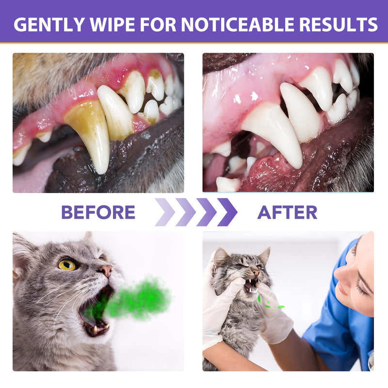 Dental Care Finger Wipes | Reduces Plaque & Freshens Breath | Teeth Cleaning Finger Wipes for Dogs & Cats | 60 Disposable Wipes, Dog Teeth Cleaning Products