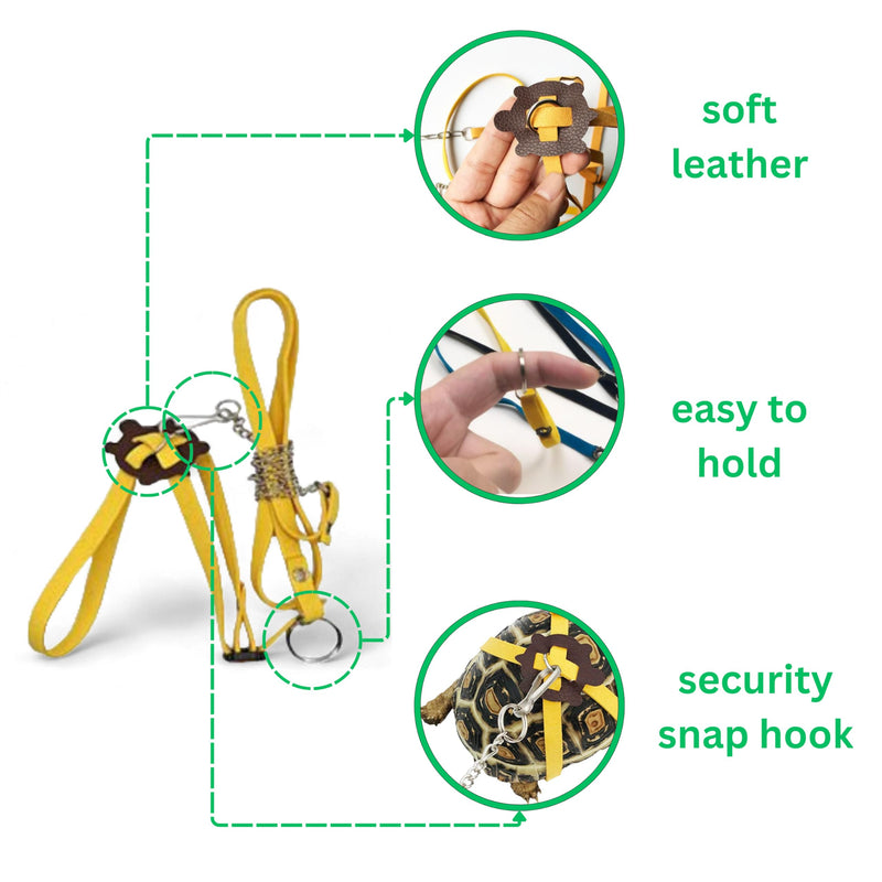 Adjustable Tortoise Leash and Funny Skateboard Set, Training Harness and Mini Skateboard for Turtle Dragon Bearded Lizard Small Pets, Pet Tortoise Toys, Accessories for Tortoises (Small) - BeesActive Australia