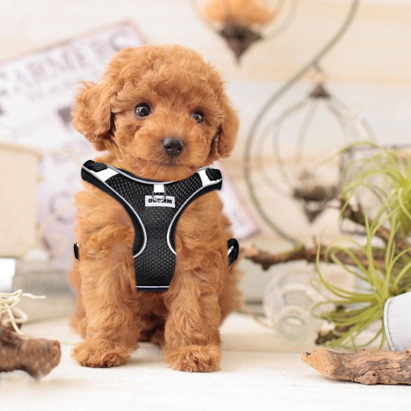 RAFIYU Anti-Pull Dog Harness Small Medium Dogs, Breathable Harness Dog Harness Luminous, Puppy Harness Luminous Harness for Dogs, Safety Harness Dog Chest Harness (M) M - BeesActive Australia