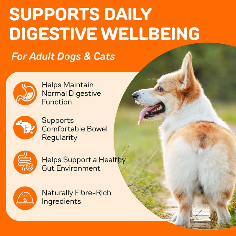 Pumpkin Powder for Dogs & Cats 200g - Pumpkin Puree Powder | Dual Action Fibre + Enzymes | Gut Health & Healthy Stools Support