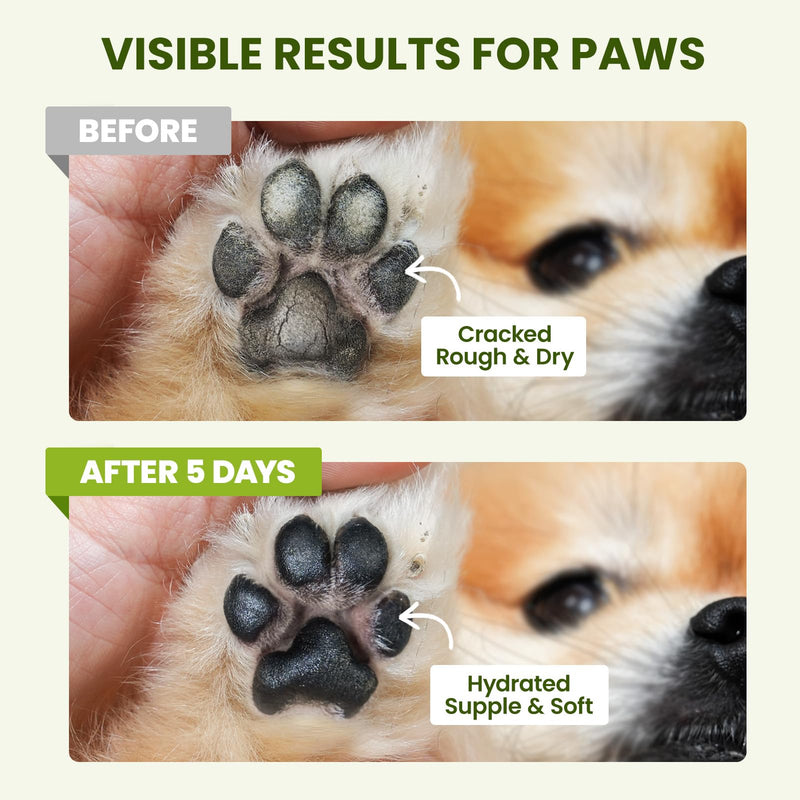 PawSono Lick-Safe Dog Paw & Nose Balm with Coconut Oil | All-Natural Moisturizer & Soother for Dry, Cracked Pads & Snout | Heat & Cold Pavement Protection Wax | Horse Hoof, Joint Care (2.6 oz) 2.6 oz