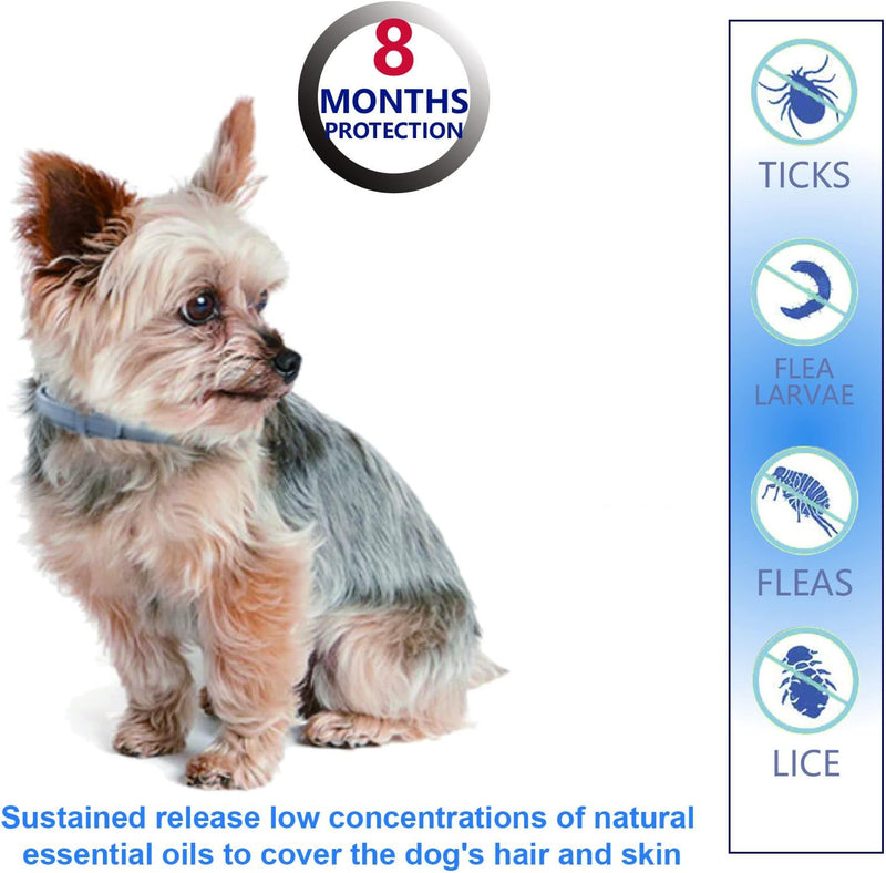 Natural Ingredients Flea Repellent Collar for Small Dogs, Safe and Effective Flea and Tick Repellent, Waterproof, 8 Months Protection per Collar, Free Comb, 13.8 Inches, 2-Pack - BeesActive Australia