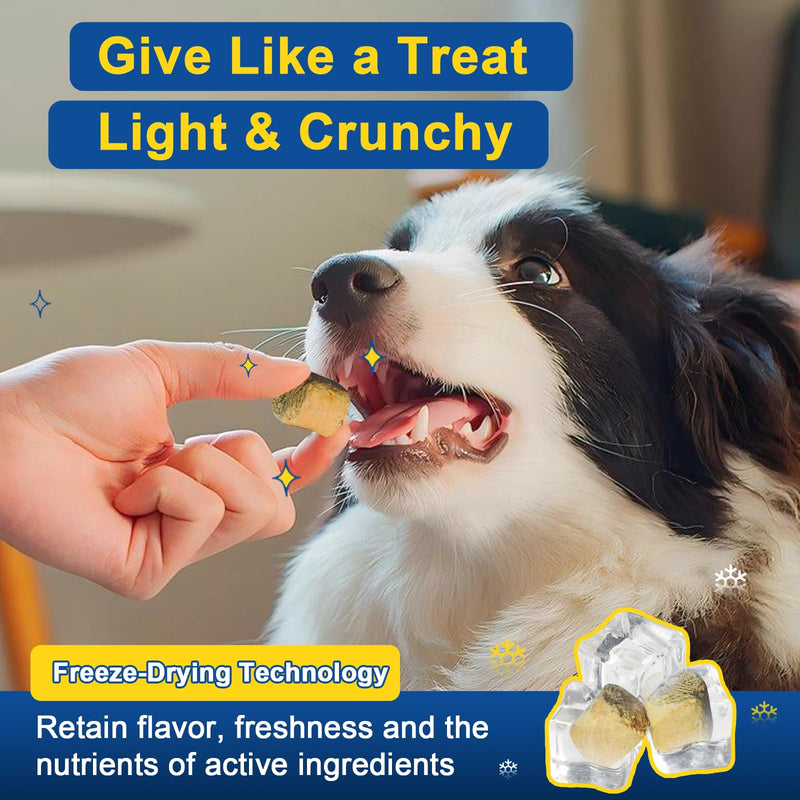 Dog Allergy Relief Chews, Dog Vitamins Multivitamin Powder - PawsPlanet Australia