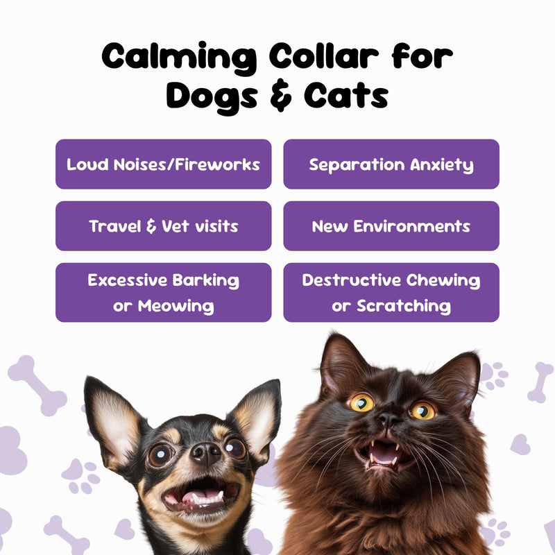 Calming Collar for Dogs Support Calm Behaviour During Fireworks, Thunderstorms, Travel & Separation - Lavender & Chamomile Aromas - Adjustable, Water-Resistant, Lasts Up to 30 Days - Large