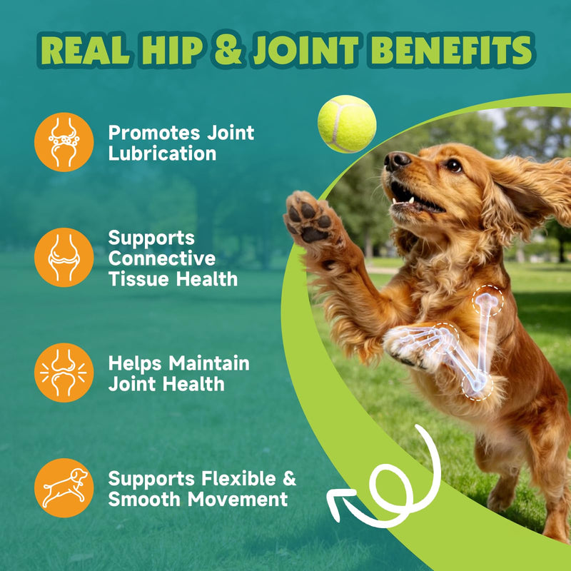 Lysine Supplement for Cat & Hip and Joint Chews for Dogs