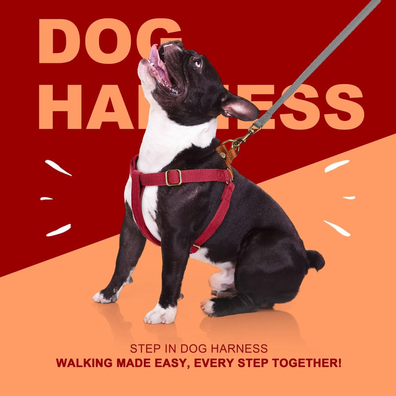 Didog Step in Dog Harness with Metal Buckles, Freedom Nylon Dog Halter Vests for Small Dogs Easy Walking Training(S:Chest 13-22", Red) S(7-18lb) - BeesActive Australia