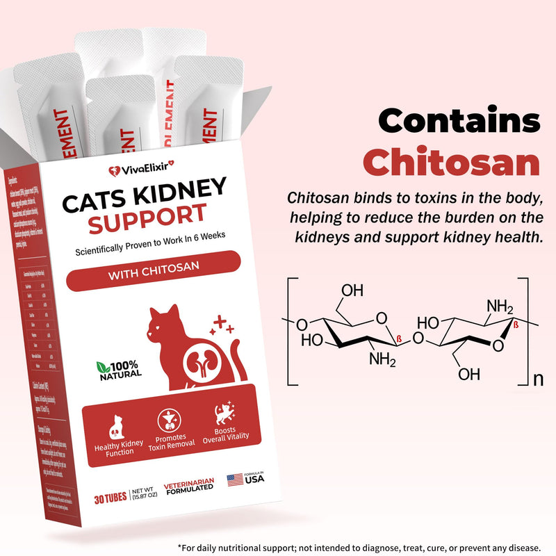Cat Kidney Support Chitosan & L-Lysine – Boosts Kidney Health & Function, Promotes Toxin Removal, Restores Kidney Function, Enhances Vitality – Natural Ingredients for Cats – 30 Tubes