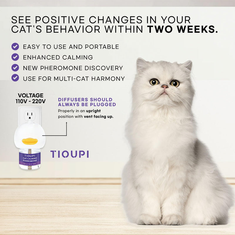Cat Pheromones Calming Diffuser: 2 Diffusers & 2 Refills Top Value Kit – Cat Calming Diffuser Helps Reduce Scratching, Peeing, Meowing, Hiding, Urine Marking & Aggression Orange