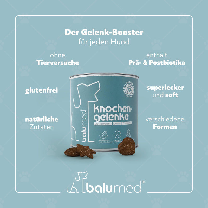 balumed® snacks bones and joints highly concentrated with green-lipped mussel for dogs, treats with prebiotics, postbiotics, brewer's yeast, devil's claw, chondroitin & collagen, vitamins E + B, 325 g - BeesActive Australia