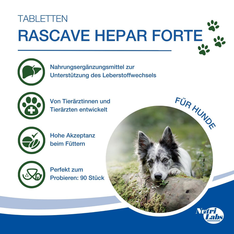 NutriLabs Rascave Hepar Forte tablets for dogs 90 PCS. - Liver tablets - B vitamins for dogs - Health products for dogs - Dog food supplements - Liver complex - BeesActive Australia