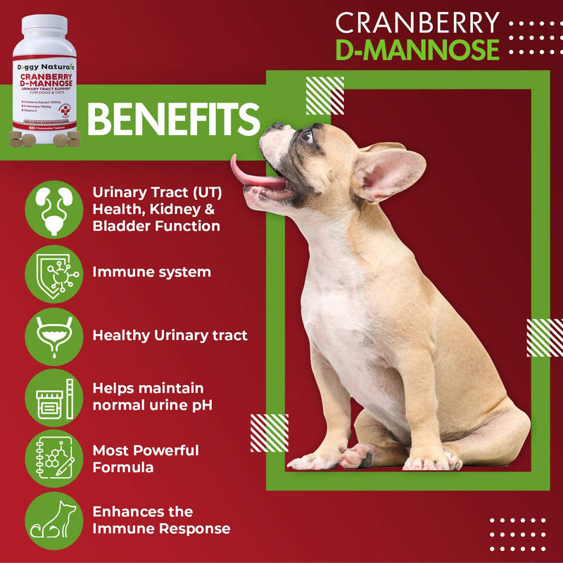 Cranberry D-Mannose for Dogs and Cats Urinary Tract Infection Support Prevents and Eliminates UTI, Bladder Infection Kidney Support, Antioxidant (Single Strength Tablet, 60 Count) Single Strength Tablet