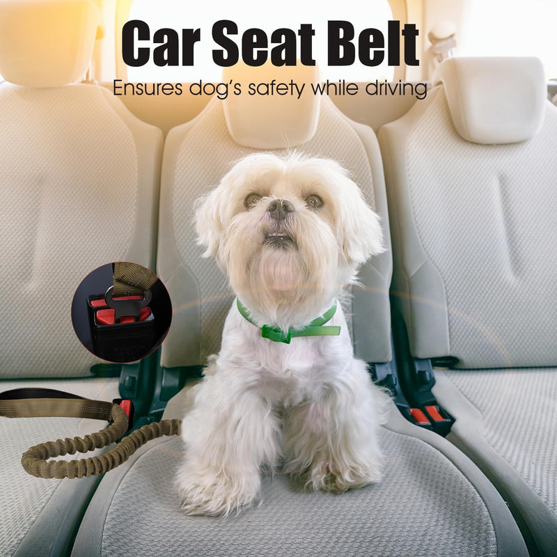 BUMBIN 6Ft Dog Leash, Bungee Dog Leash with 2 Handles, Heavy Duty Leashes for Medium Small Dogs, No Pull Shock Absorbing with Car Seat Belt for Training, Green