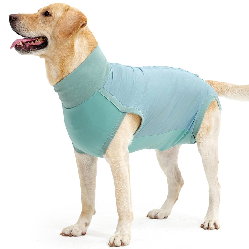Dotoner dog bodysuit after surgery, castration wound protection suits for dogs, dog bodysuit after castration male dog, breathable bodysuit for dogs after surgery cat bodysuit, leak protection dog, anti-wound licking surgery bodysuit dog XL turquoise - BeesActive Australia