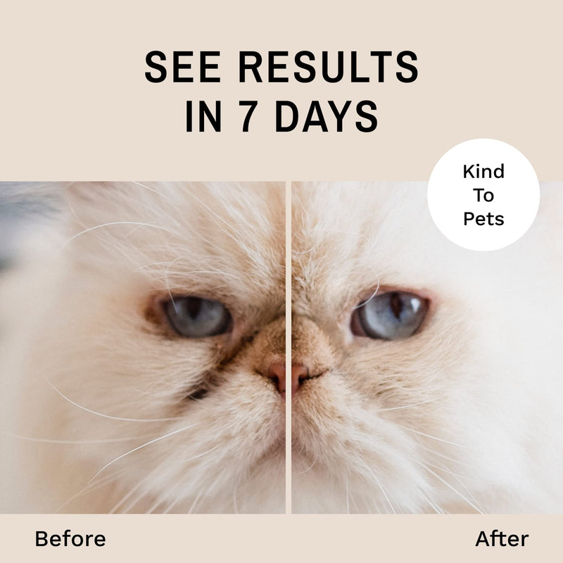 Eye Envy Tear Stain Remover Powder for Dogs and Cats. 100% Natural, Safe. Apply Around Eyes. Absorbs and Repels Tears. Keeps Area Dry. Treats The Cause of Staining. Made in The USA. (.5oz) .5oz - BeesActive Australia