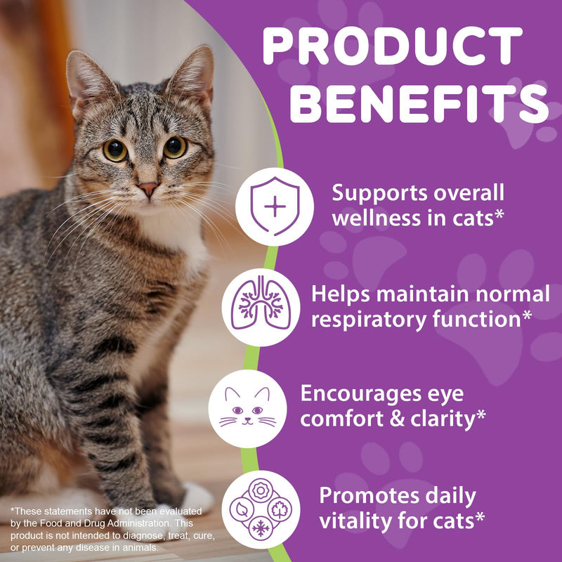 Lysine for Cats, L-Lysine Supplement for Cats, Cat Immune Support, Cat Lysine Drops, 60ML Drops for Respiratory, Sneezing, Runny Nose, Eye Function, Allergy Relief for Kittens