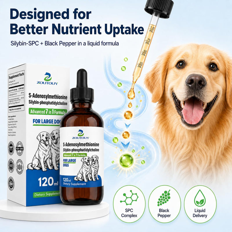 Same for Dogs Liquid Drops with Silybin, Milk Thistle, Choline, Artichoke, Dandelion & Curcumin, Dog Liver Support Supplement, Positive Mood & Daily Wellness Formula,Same for Dogs Liquid (120ml) 120ml