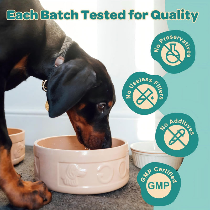 ZEBORA Dog Allergy Relief - Dog Itching Skin Relief, Advanced Skin Probiotics for Dogs, Colostrum, Support Itchy Ears, Seasonal Allergies, Immune, Digestive Health, Alternative for Dog Allergy Chews 90 Scoops