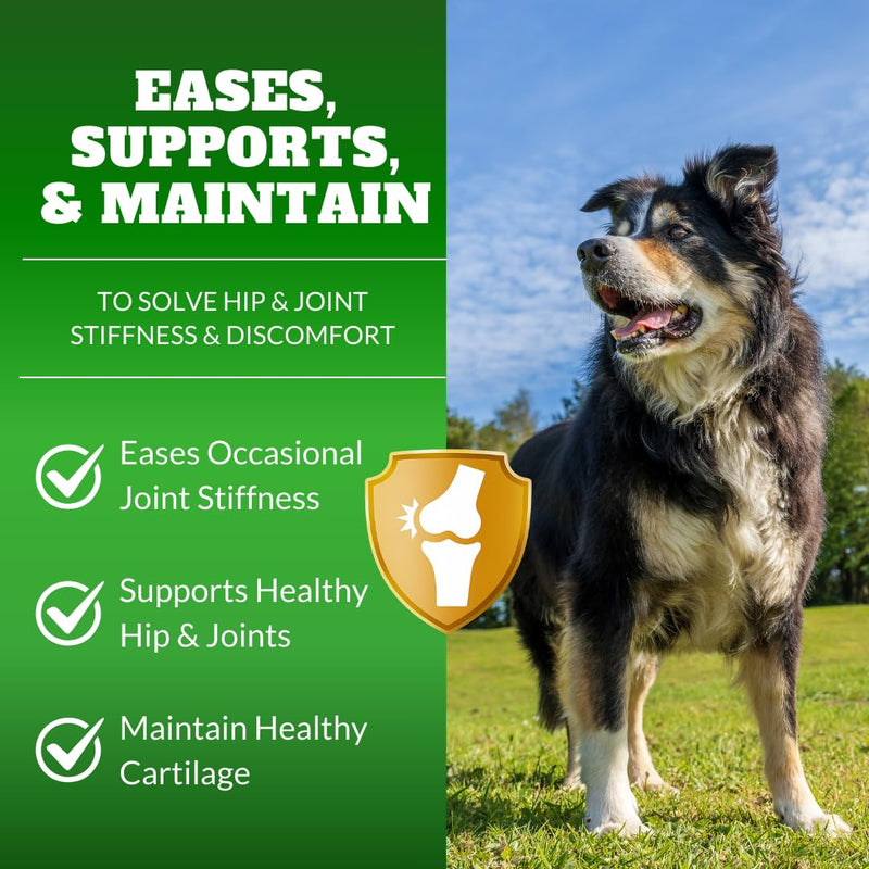 Dog Joint Supplement Chews with Glucosamine & MSM & Omega 3–Joint Support for Senior & Large Breed Dogs, Alternative for Longevity & Healthy Aging, Mobility Treatment & Flexibility with CoQ10-120 Ct