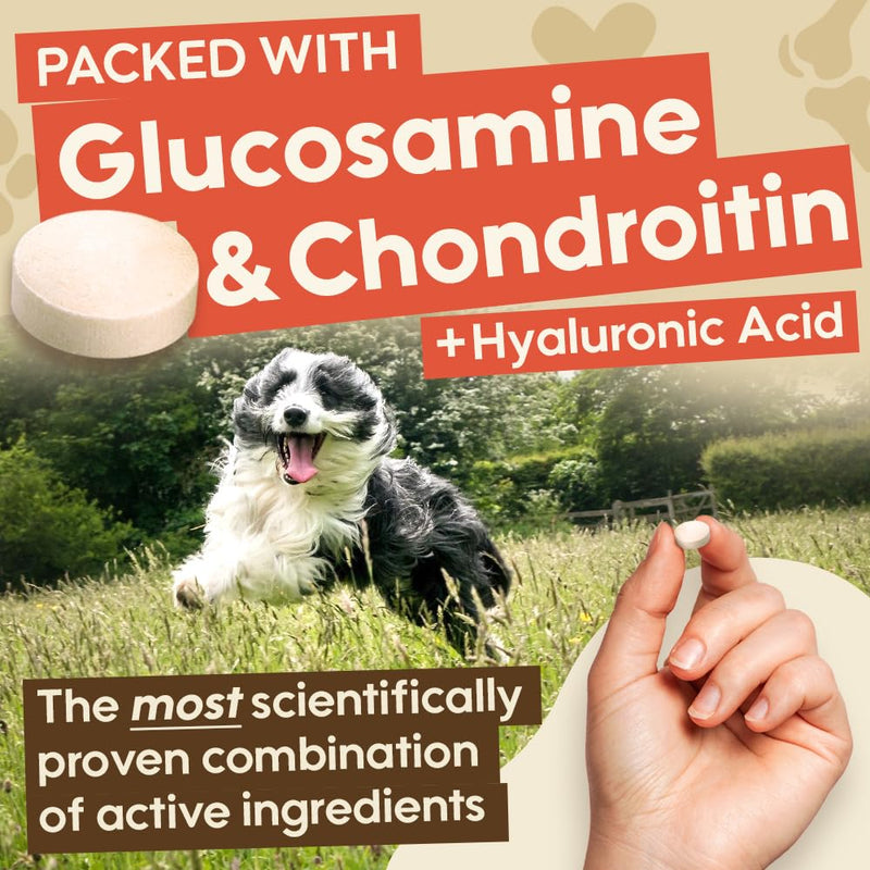 Bouncer's Joint Supplements for Dogs - High Strength Glucosamine, Chondroitin & Hyaluronic Acid | Affordable Mobility Support for Senior Dogs | 100% Recyclable | Letterbox Friendly 240 Tablet Pack