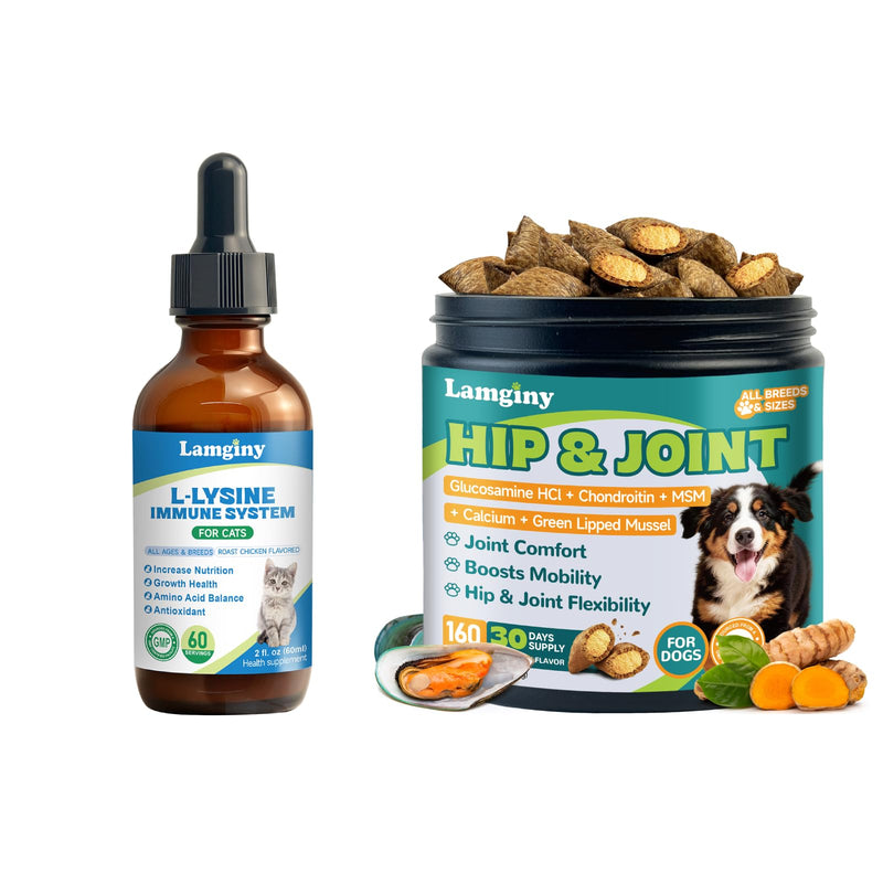 Lysine Supplement for Cat & Hip and Joint Chews for Dogs