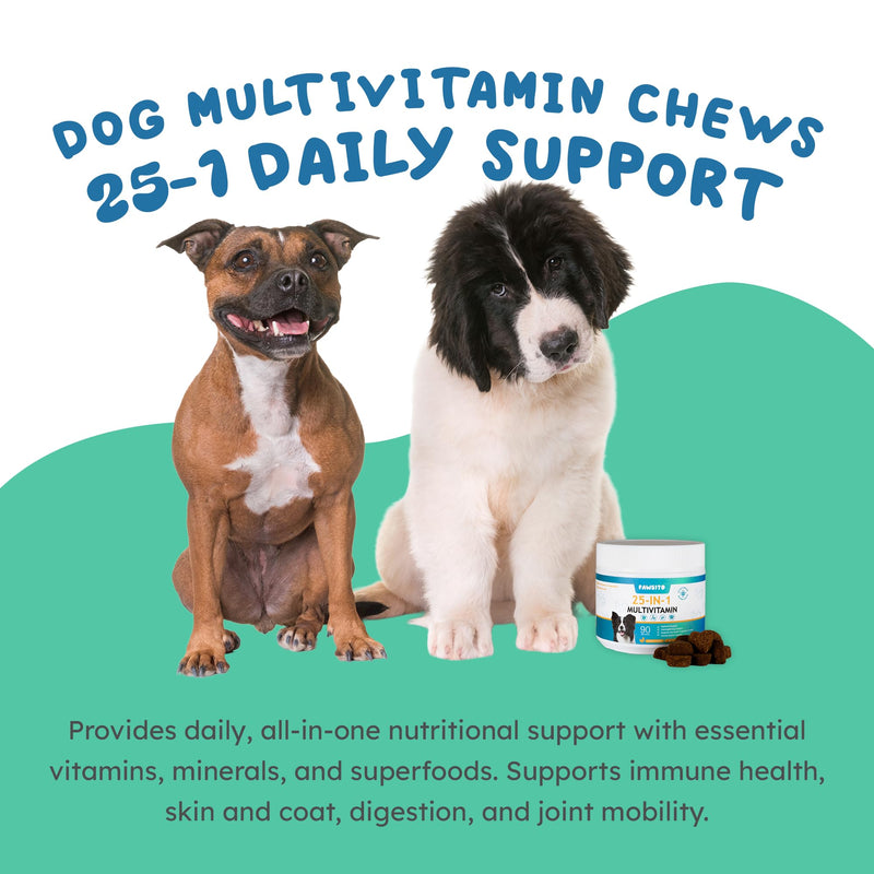 Dog Multivitamin Chews 90ct – 25-in-1 Daily Complete Nutrition Soft Chews with Vitamins, Minerals, Probiotics, Salmon Oil & Digestive Enzymes for Overall Wellness