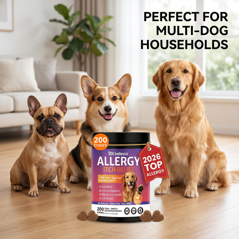Dog Allergy Chews 200ct - Seasonal Allergy & Itching Skin Relief for Dogs - Soft Chews with Colostrum, Probiotics & Omega 3 for Licking Paws, Hot Spots & Immune Support - Chicken Flavor (14.1 OZ) 200 Chews