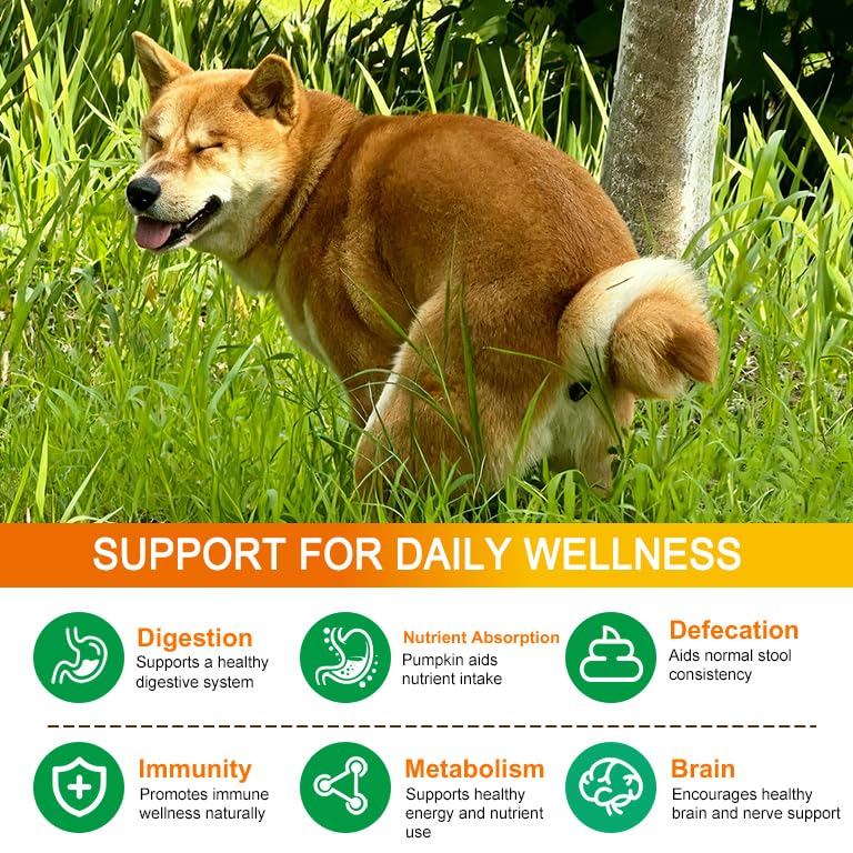 Pumpkin Powder for Dogs and Cats, 200g All Natural Pumpkin Puree Powder for Digestive & Gut Health, Cat Dog Fiber Supplement with Digestive Enzymes & Apple for Perfect Poop