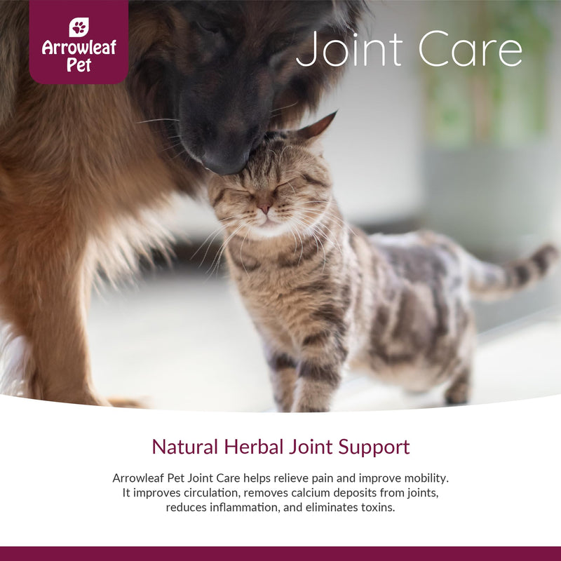 Joint Care by NaturPet Inc for Dogs and Cats | Contains Turmeric | Mobility | 100mL Herbal Tincture