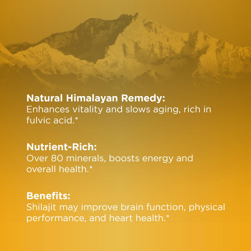 Shilajit Gummies 1000mg | Pure Shilajit Resin for Energy, Brain & Immunity | Supplement for Men & Women | Sugar-Free, Vegan, Gluten-Free | Natural Berry Flavor, Made in USA (90ct) - BeesActive Australia